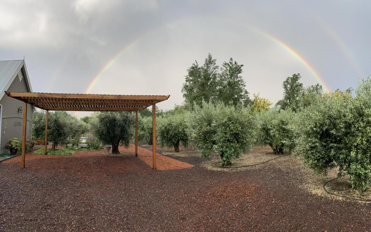 فندق Mirihof Retreat And Olive Estate مونتاغو المظهر الخارجي الصورة